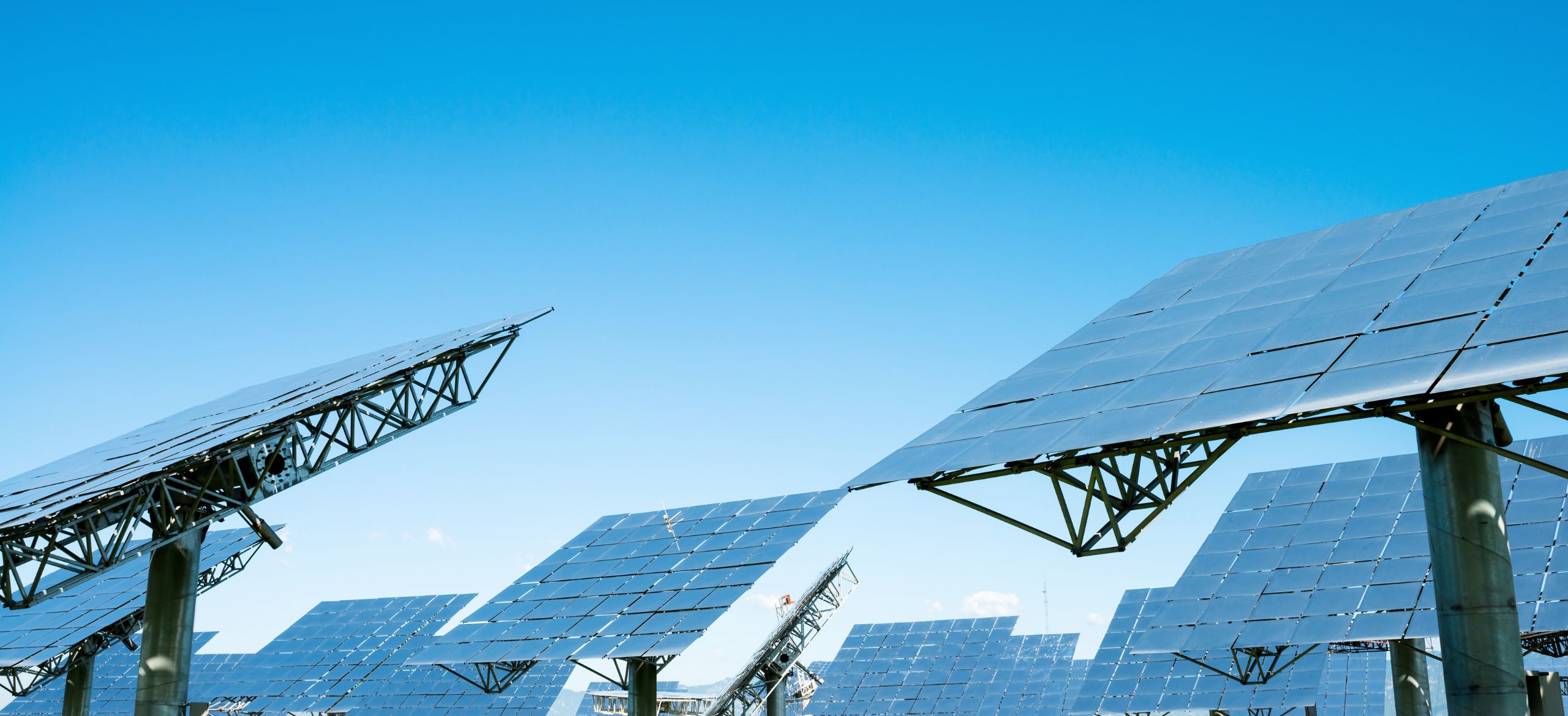 sfondo contenitore cdo green energy testimonianze
