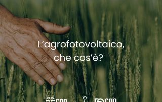 agricoltura e fotovoltaico